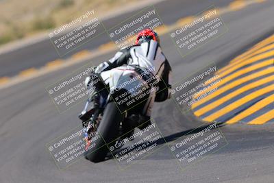 media/Oct-08-2022-SoCal Trackdays (Sat) [[1fc3beec89]]/Turn 11 Backside (1145am)/